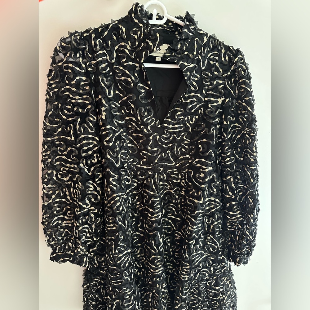 Tuckernuck Nightly Organza Palmerston Dress